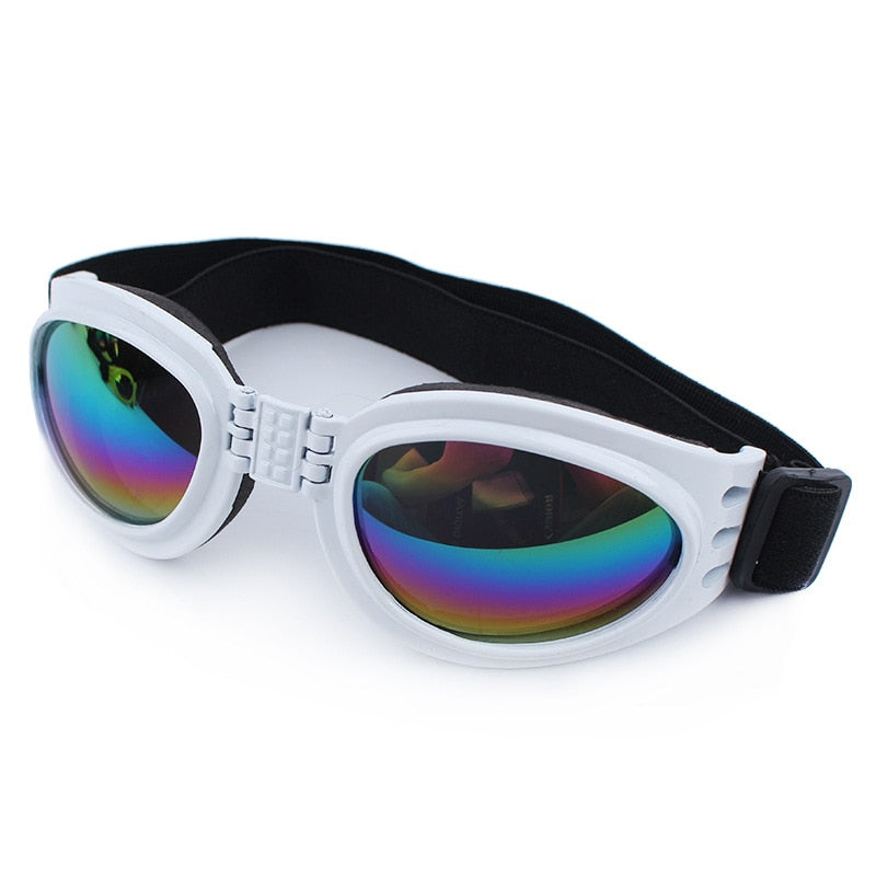 Lunettes de soleil pour chien DISSI