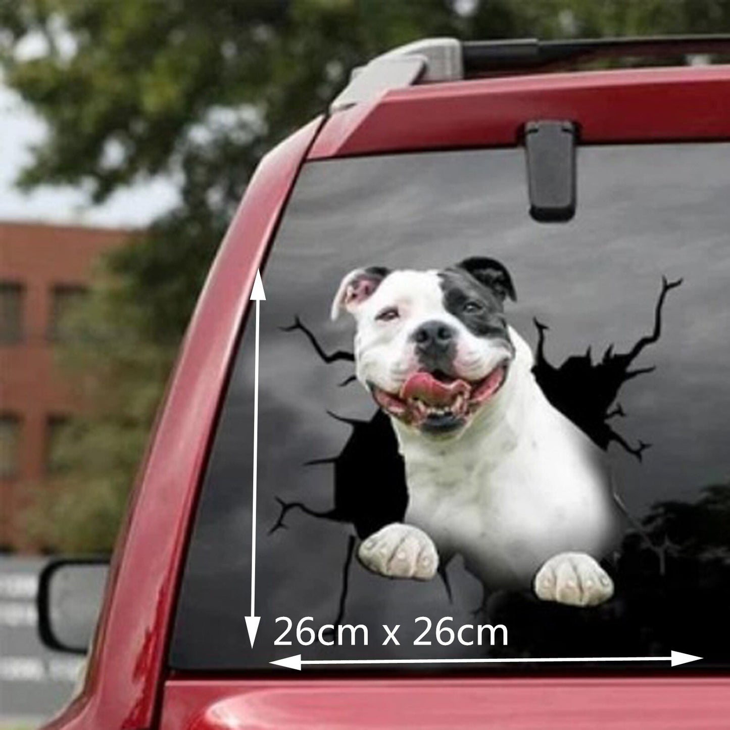 CRACK CAR STICKER