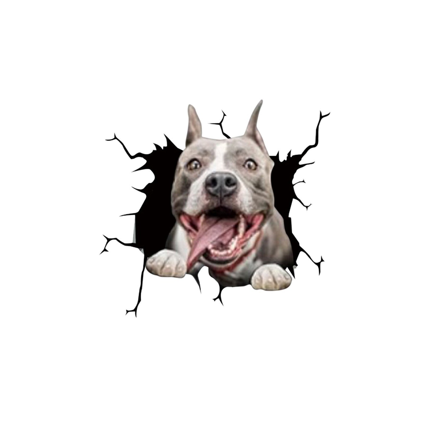 CRACK CAR STICKER