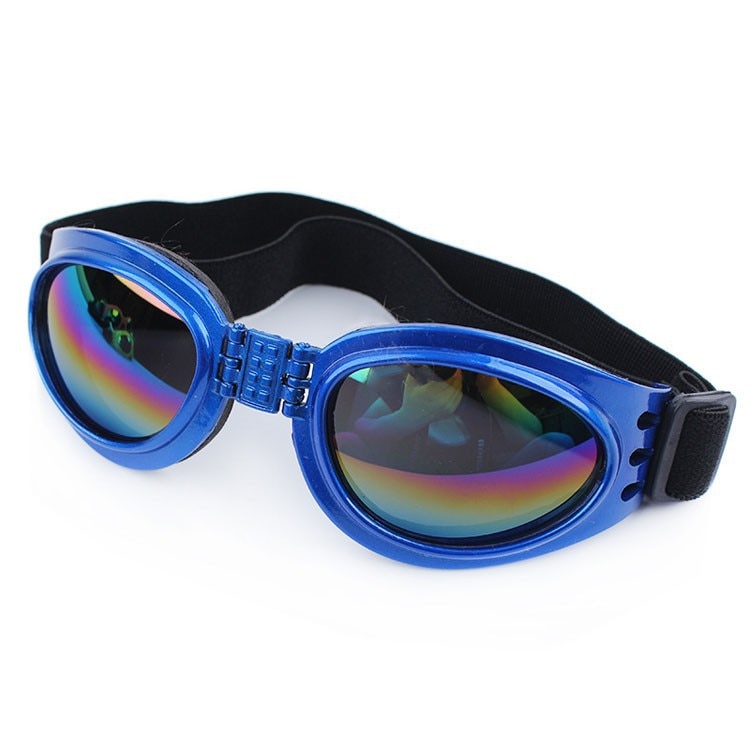 Lunettes de soleil pour chien DISSI