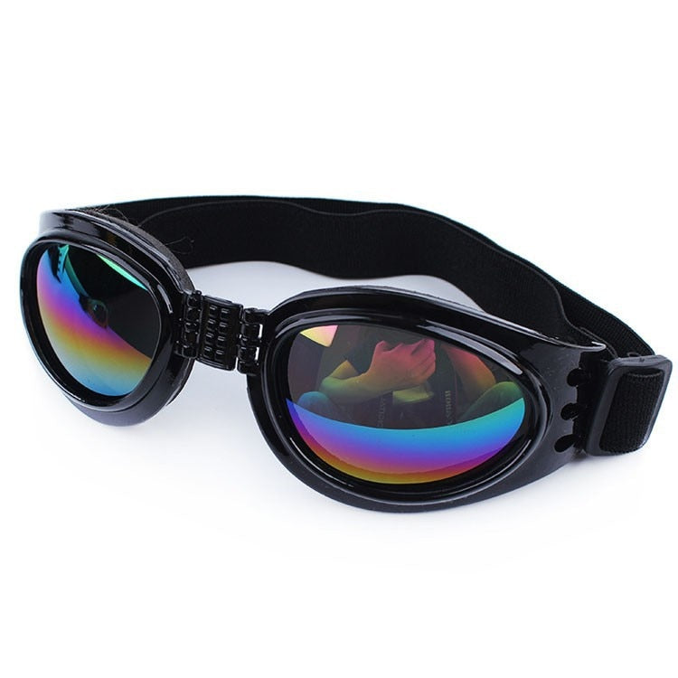 Lunettes de soleil pour chien DISSI