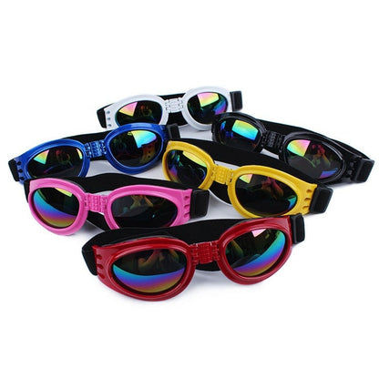 DISSI Dog Sunglasses