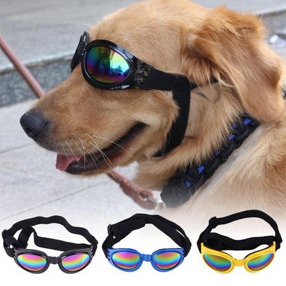 DISSI Dog Sunglasses