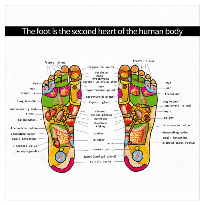 ELECTRIC EMS FOOT MASSAGER