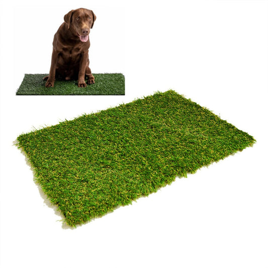 DOG LAWN
